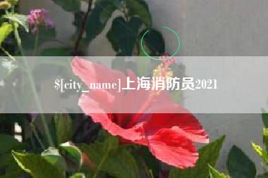 燕郊上海消防员2021