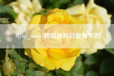 燕郊我国消防日是每年的