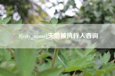 燕郊失信被执行人杳询