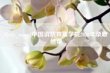 燕郊中国消防救援学院2020年录取结果