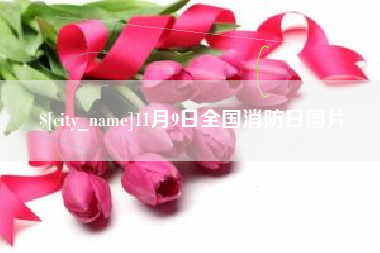 燕郊11月9日全国消防日图片