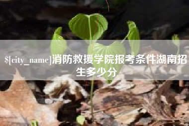 燕郊消防救援学院报考条件湖南招生多少分