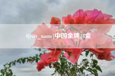 燕郊中国金牌18金