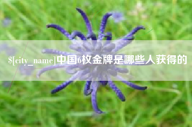 燕郊中国6枚金牌是哪些人获得的