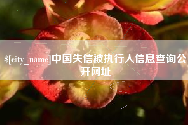 燕郊中国失信被执行人信息查询公开网址