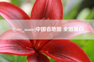 燕郊中国省地图 全图黑白