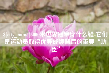 燕郊5000米世界冠军穿什么鞋-它们是运动员取得优异成绩背后的重要“功臣”