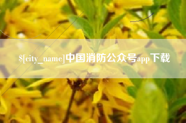 燕郊中国消防公众号app下载