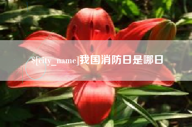 燕郊我国消防日是哪日