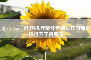 燕郊中国执行案件查询公开网都是执行不了得案子