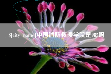 燕郊中国消防救援学院是985吗