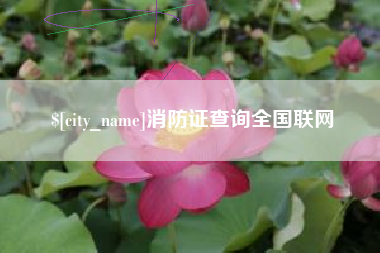 燕郊消防证查询全国联网