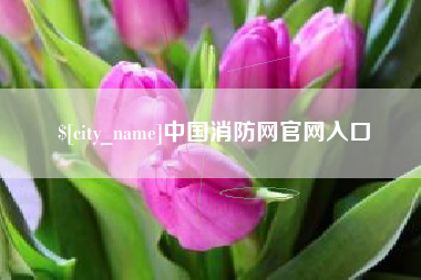 燕郊中国消防网官网入口