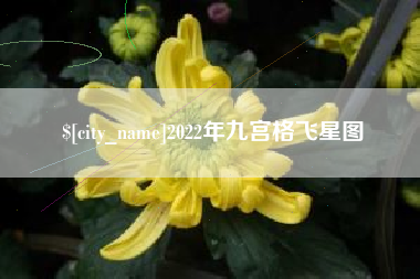 燕郊2022年九宫格飞星图