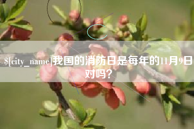 燕郊我国的消防日是每年的11月9日对吗？