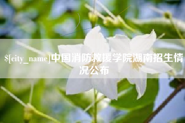 燕郊中国消防救援学院湖南招生情况公布