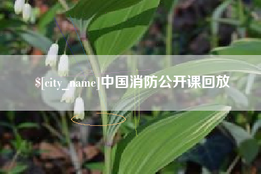 燕郊中国消防公开课回放