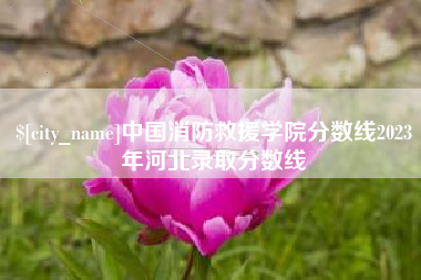 燕郊中国消防救援学院分数线2023年河北录取分数线