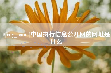 燕郊中国执行信息公开网的网址是什么