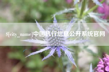 燕郊中国执行信息公开系统官网