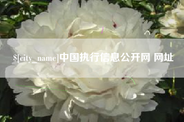 燕郊中国执行信息公开网 网址