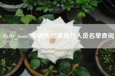 燕郊中国失信被执行人员名单查询