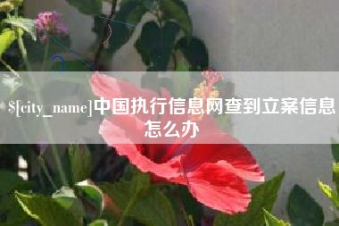 燕郊中国执行信息网查到立案信息怎么办