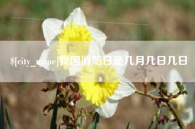 燕郊我国消防日是几月几日几日