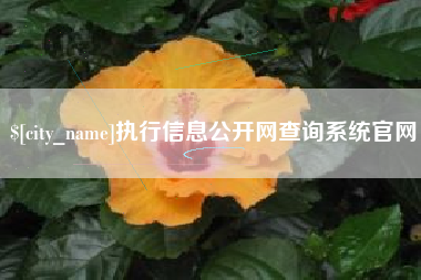 燕郊执行信息公开网查询系统官网