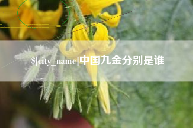 燕郊中国九金分别是谁