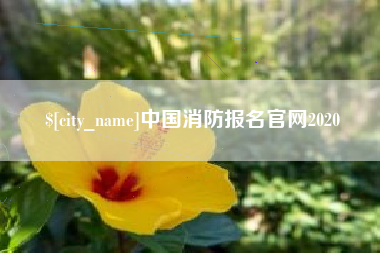 燕郊中国消防报名官网2020