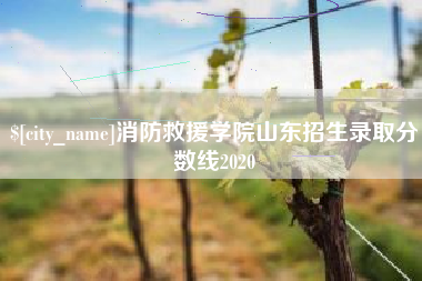 燕郊消防救援学院山东招生录取分数线2020