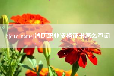 燕郊消防职业资格证书怎么查询