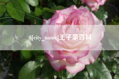 燕郊王子豪百科