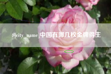 燕郊中国有哪几枚金牌得主