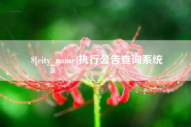 燕郊执行公告查询系统