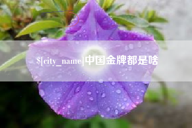 燕郊中国金牌都是啥