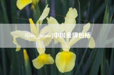 燕郊中国金牌包括