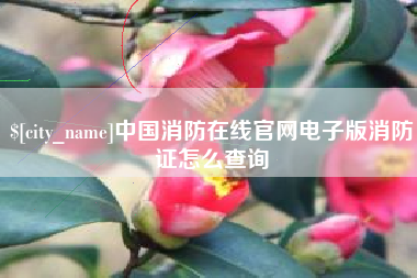 燕郊中国消防在线官网电子版消防证怎么查询