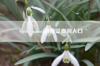 燕郊消防证查询入口