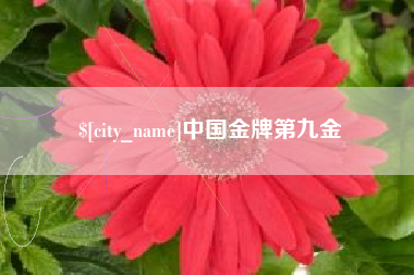 燕郊中国金牌第九金