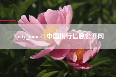 燕郊1.中国执行信息公开网