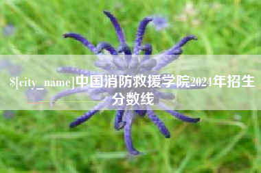 燕郊中国消防救援学院2024年招生分数线
