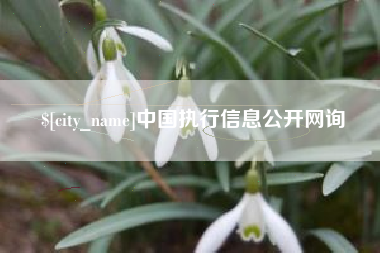 燕郊中国执行信息公开网询