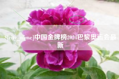 燕郊中国金牌榜2024巴黎奥运会最新