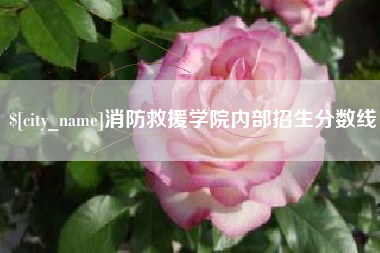 燕郊消防救援学院内部招生分数线