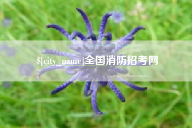 燕郊全国消防招考网
