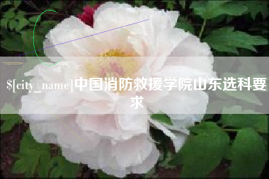 燕郊中国消防救援学院山东选科要求