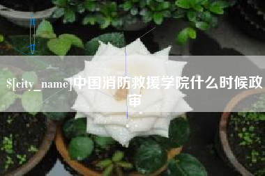 燕郊中国消防救援学院什么时候政审