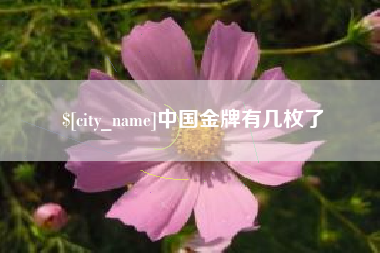 燕郊中国金牌有几枚了